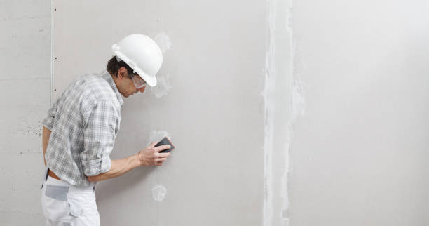 Best HVAC Mold Inspection and Cleaning  in La Vernia, TX